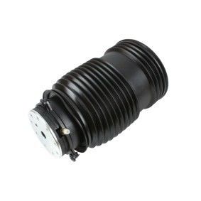 Mercedes Benz 2053200125 Części podwozia Air Spring